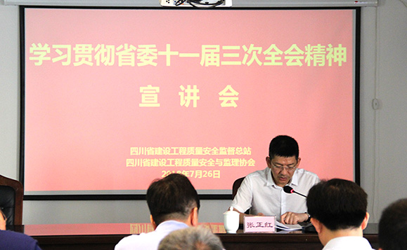 张正红在省质安总站、省质监协会宣讲省委十一届三次全会精神
