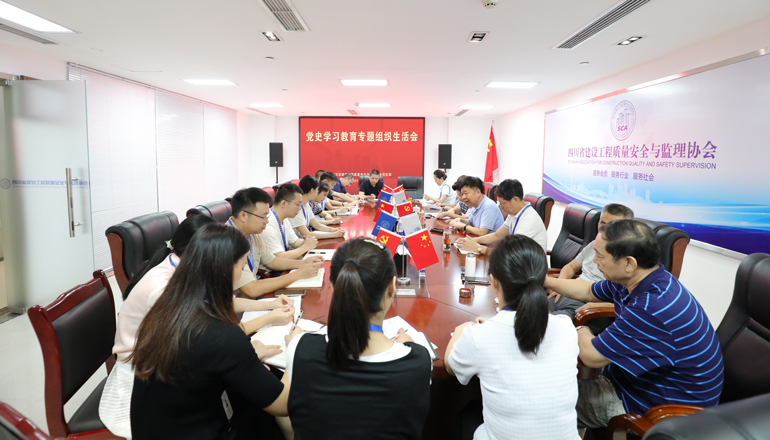 荡涤思想尘埃，激扬前行动力 ——省质监协会党支部召开党史学习教育专题组织生活会